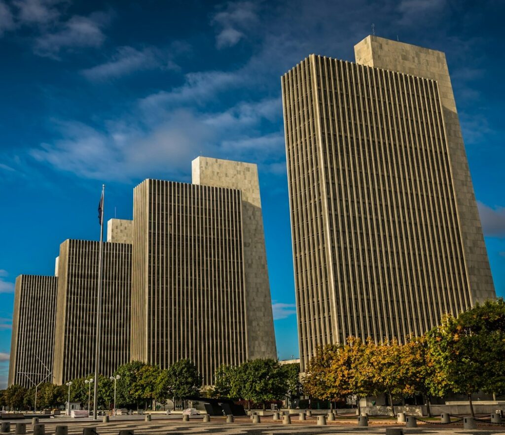 albany ny where puppies are the best